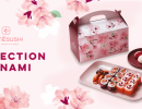 Le bento Côté Sushi « Hanami » pour fêter les sakuras (cerisiers en fleurs) et le printemps